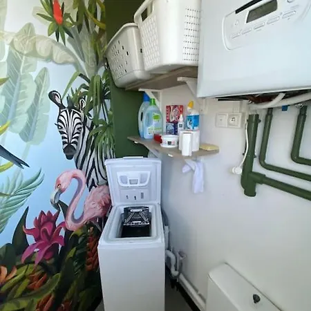 4* Proche Centre Et Plage. Animaux Bienvenus