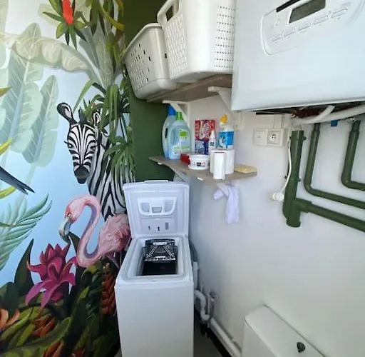 4* Proche Centre Et Plage. Animaux Bienvenus