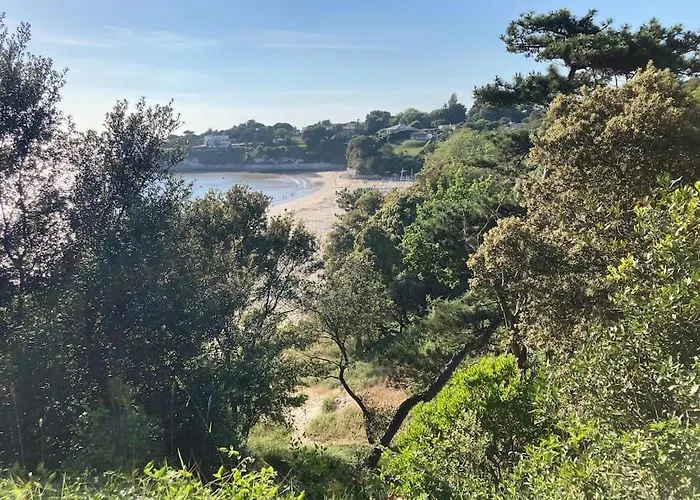 4* Proche Centre Et Plage. Animaux Bienvenus